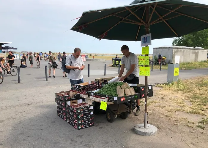 Apartman Ama Hyg Atelier Copenhagen-lovely Floor -near Airport-metro And The